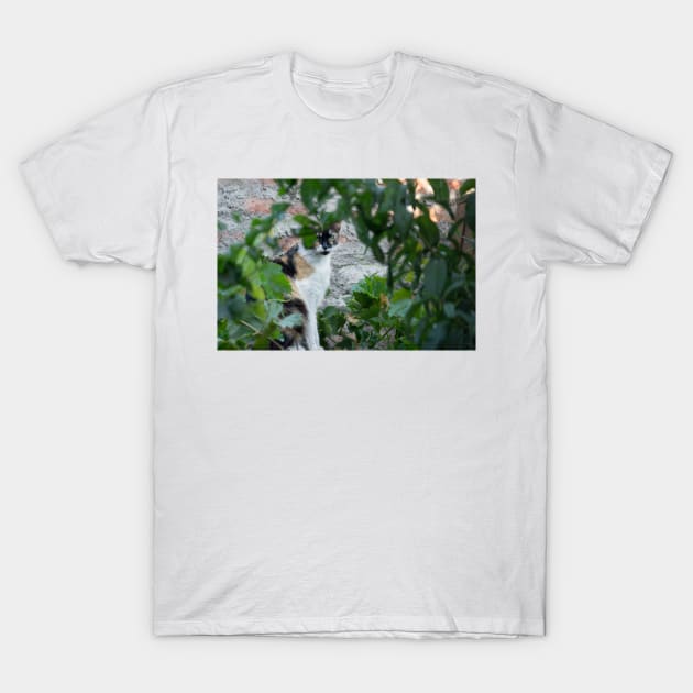 332015 calico wild thing T-Shirt by pcfyi